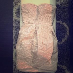 NWT! Max & Cleo-Gorgeous taupe Dress